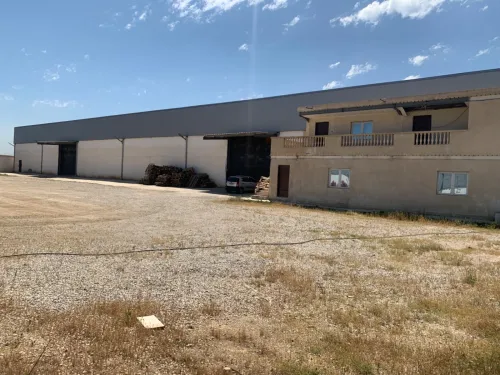 Location Hangar Alger Sidi moussa