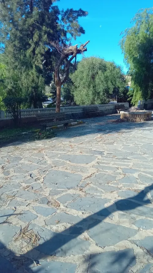 Location Local Alger Kouba