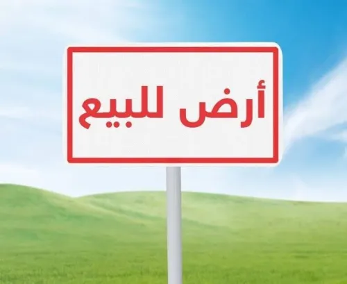 Vente Terrain Tlemcen Tlemcen