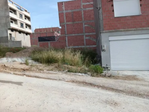 Vente Terrain Constantine El khroub