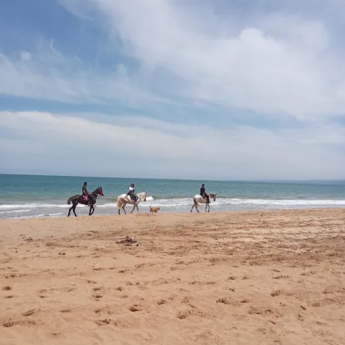 Location vacances Villa Tipaza Tipaza