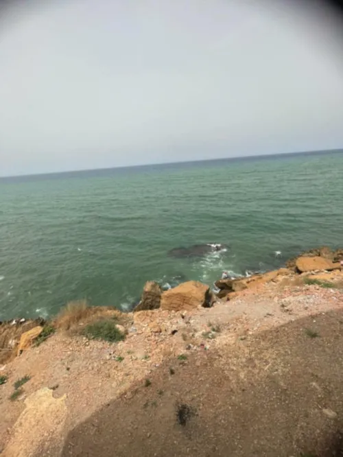 Vente Appartement F2 Tipaza Douaouda