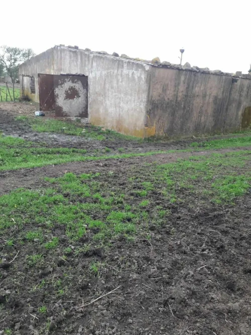 Location Local El Tarf Berrihane