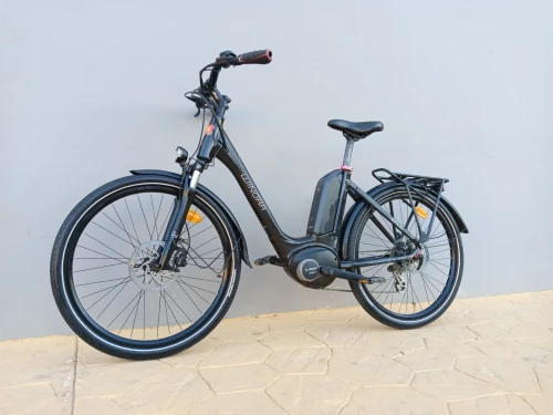 Vélo électrique Bosch winora