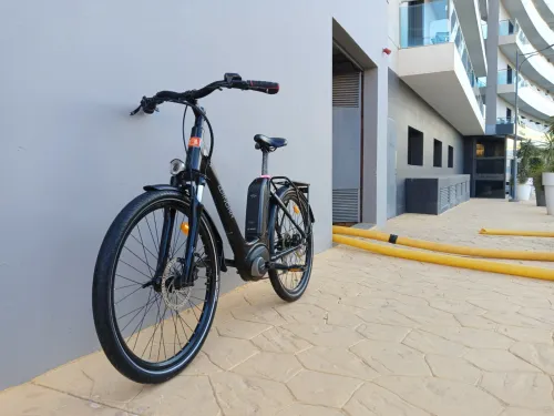 Vélo électrique Bosch winora