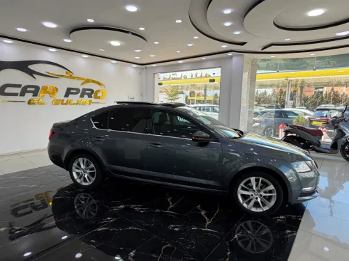 Skoda Octavia 2019 Clever