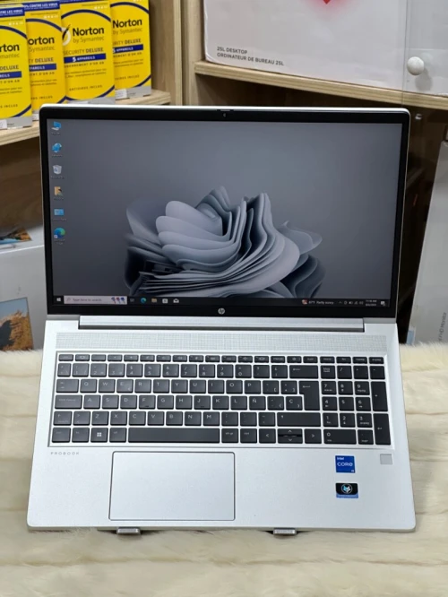 HP PROBOOK 450 G10 I5 1335U 16GO 512GO SSD NVME 