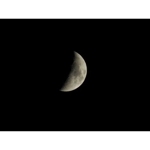 Nikon COOLPIX P1100 Zoom 250x 24-3000mm UHD 4K