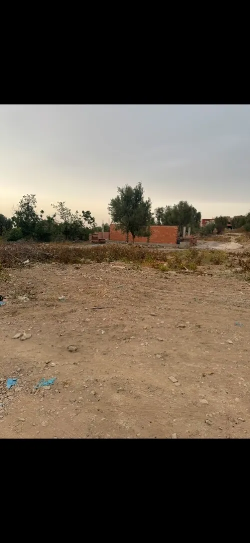 Vente Terrain Tlemcen Tlemcen
