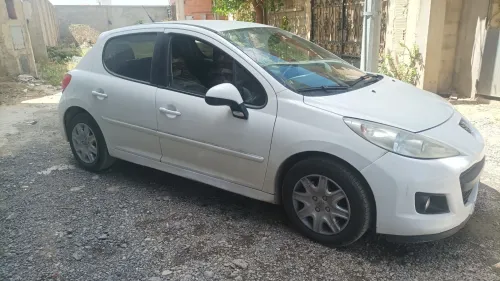 Peugeot 207 2012 Fennec