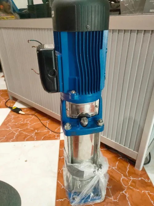 pompe multicellulaire verticale en acier inoxydable de la marque Lowara, 