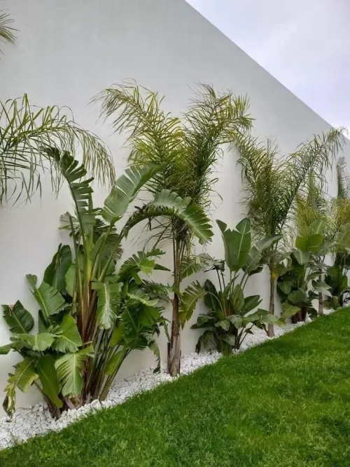RÉALISATION DES PISCINES LUXUEUSE مسابح منزلية 