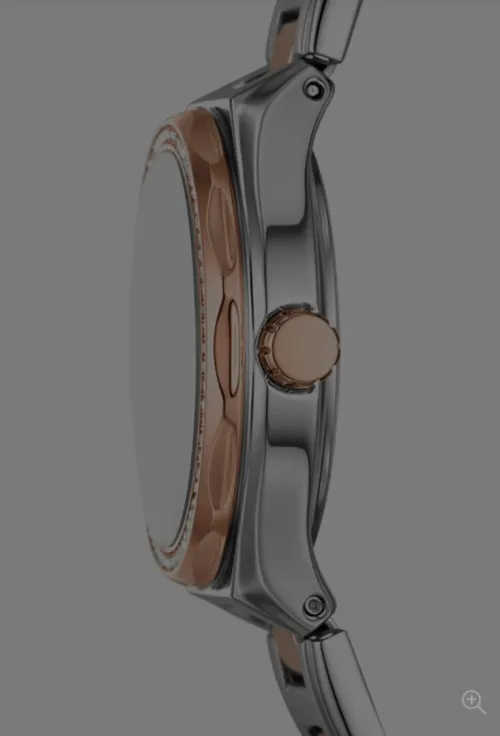 Montre Femme Fossil