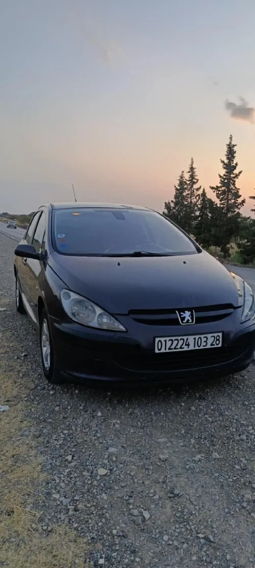 Peugeot 307 2003 XT