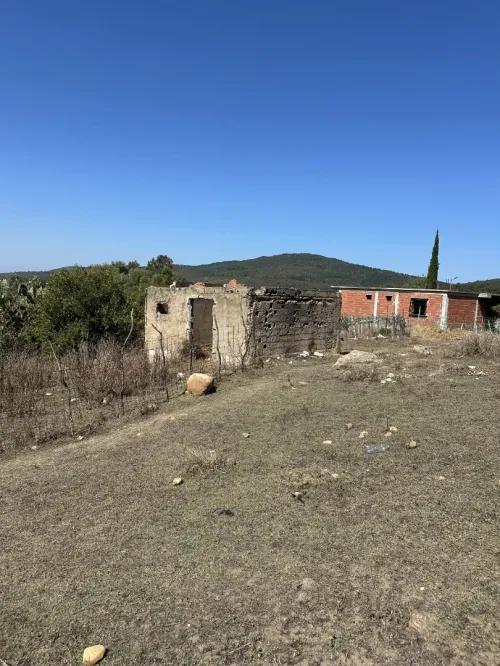 Vente Terrain El Tarf El aioun