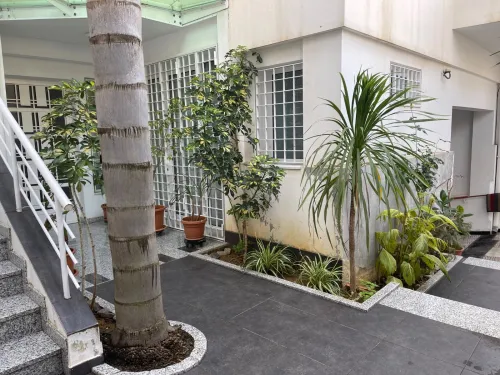 Location Appartement F4 Alger Ben aknoun