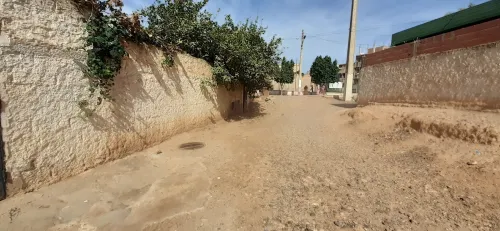 Vente Carcasse Chlef Chettia