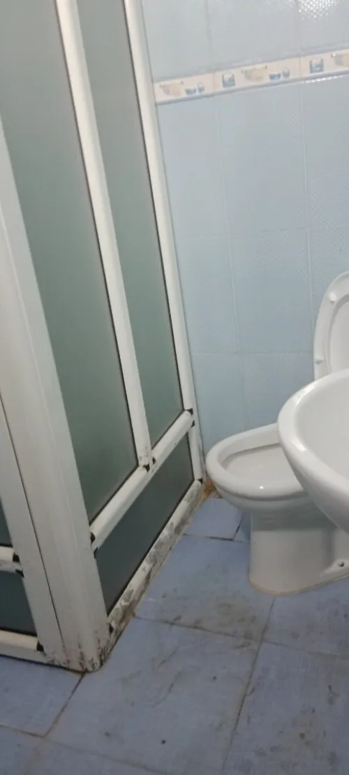 Location Appartement F2 F3 F4 Aïn Témouchent Beni saf