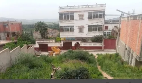 Vente Terrain Skikda Djendel saadi mohamed
