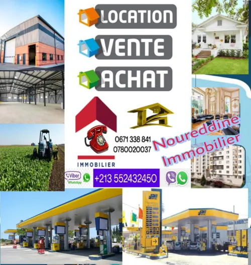 Cherche location bien immobilier Alger Alger centre