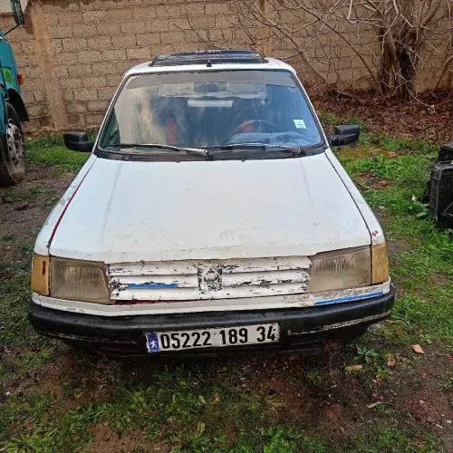 Peugeot 309 1989 309