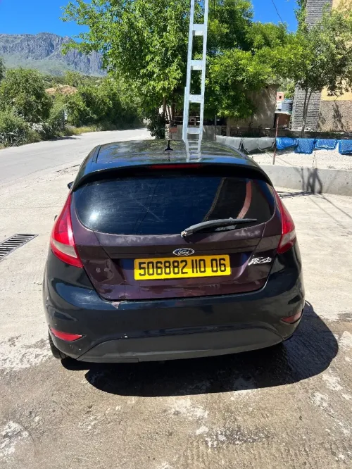 Ford Fiesta 2010 Fiesta