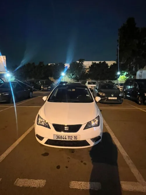 Seat Ibiza 2012 