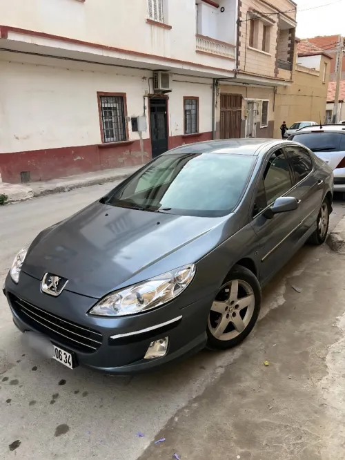 Peugeot 407 2006 407