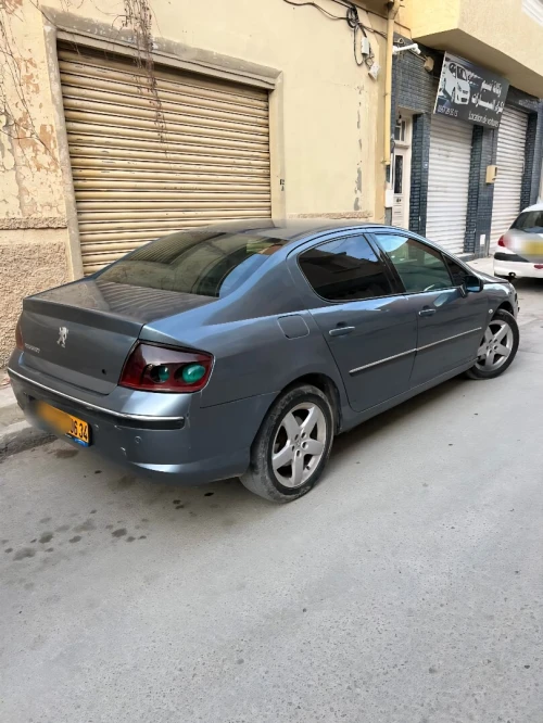 Peugeot 407 2006 407