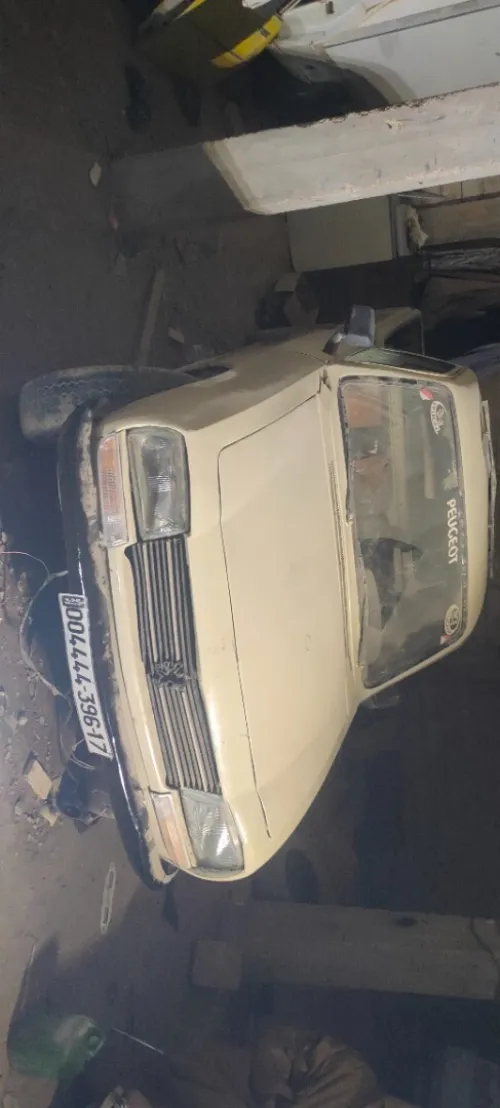 Peugeot 504 1996 