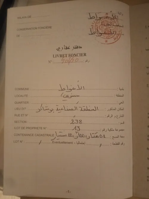 Vente Terrain Laghouat Laghouat