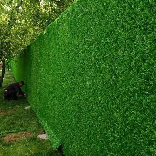 Grillage gazon vert