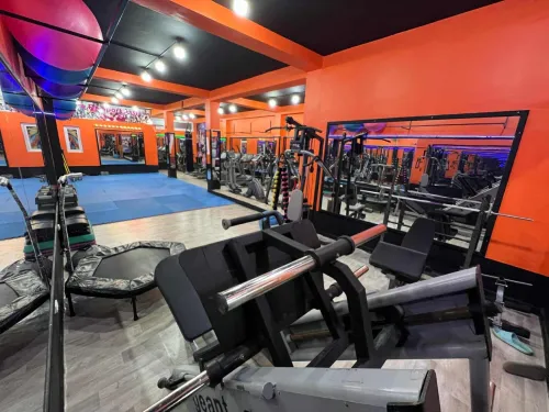 matériel de sport musculation