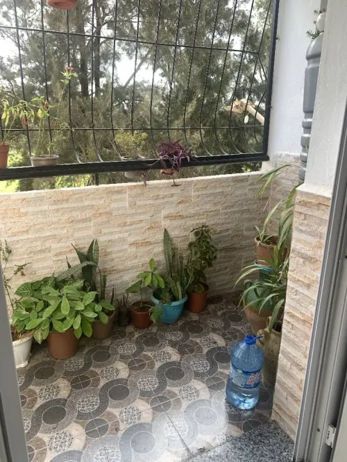 Vente Appartement F3 Alger Reghaia