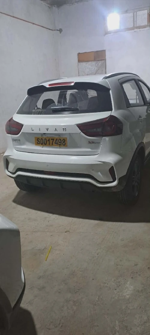 Livan Tt option 2026 