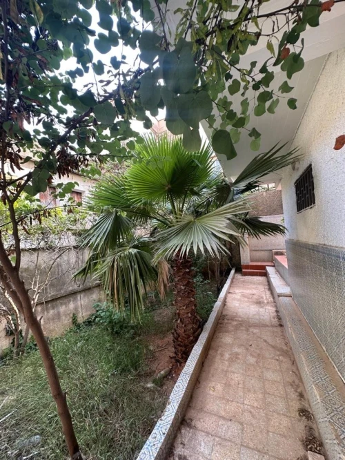 Vente Villa Alger Dely brahim