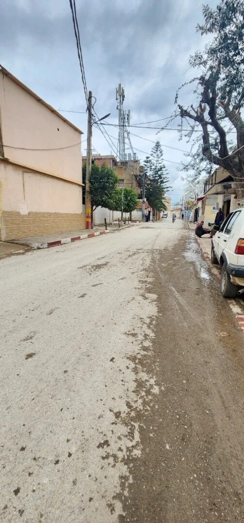 Vente Terrain Blida Ouled selama