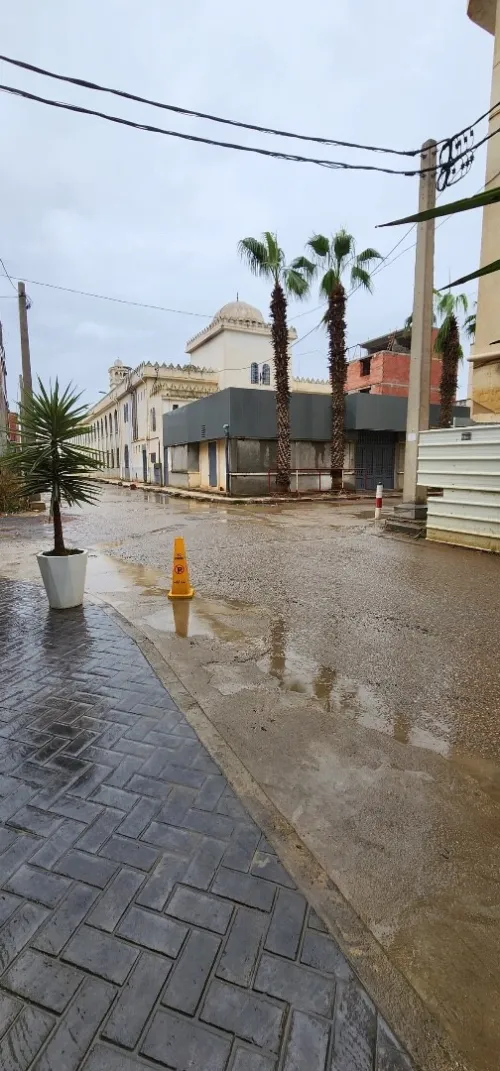 Vente Terrain Alger Rouiba