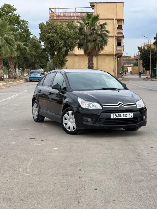 Citroen C4 2009 Vitamine