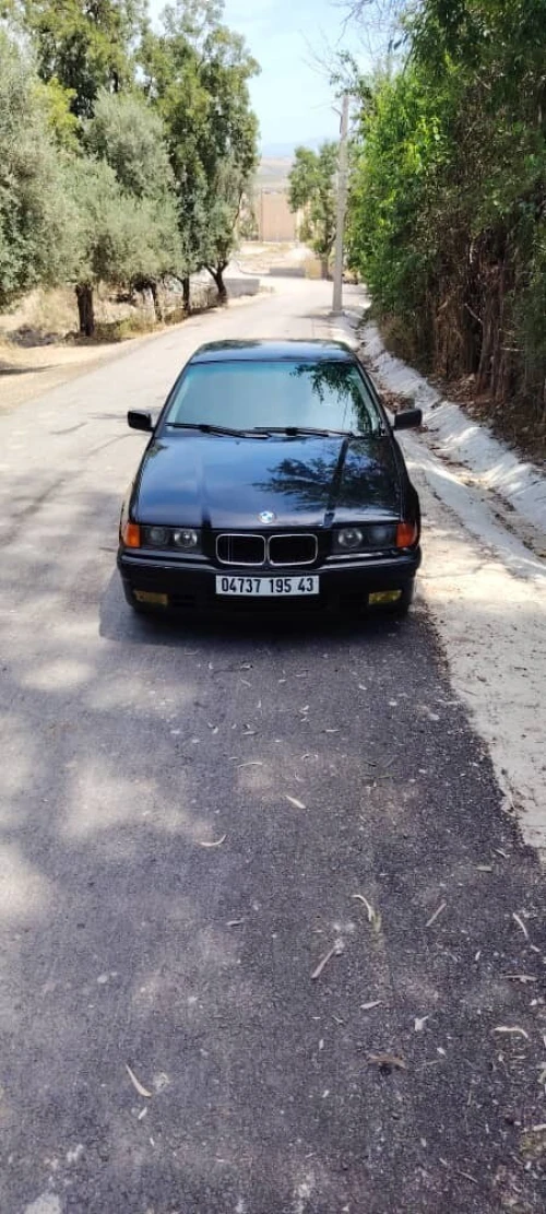 BMW E 36 1995 E36