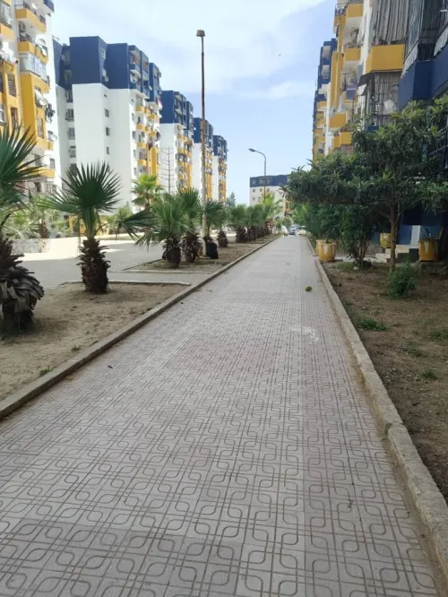 Vente Appartement F3 Blida Soumaa 13