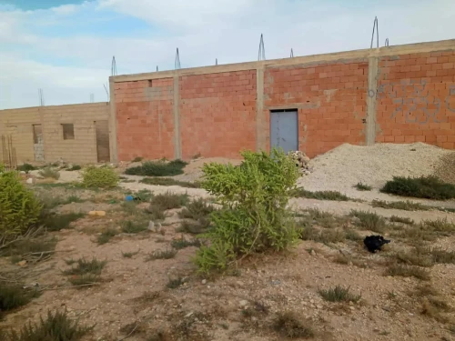 Vente Terrain Djelfa Djelfa