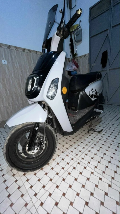 VMS Couxi Estate X 2021