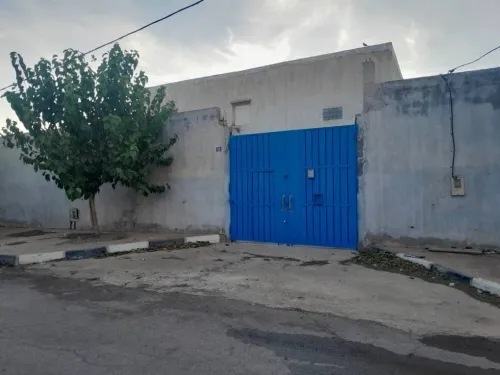 Location Terrain Aïn Témouchent Hassi el ghella