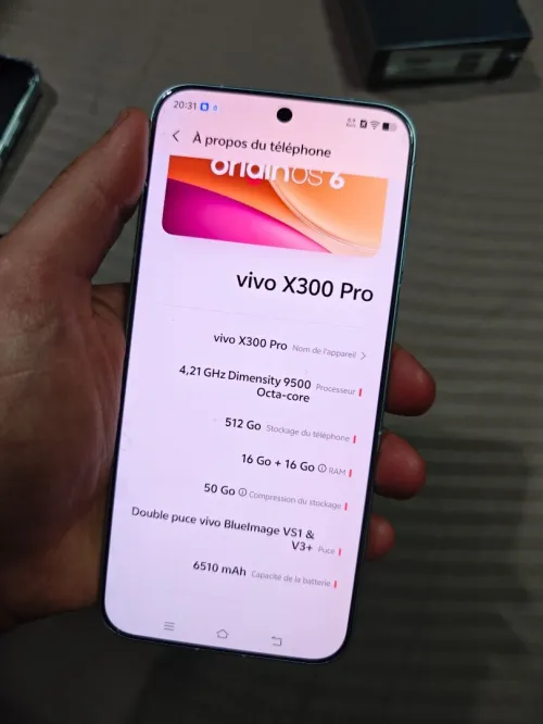 Vivo X300 pro
