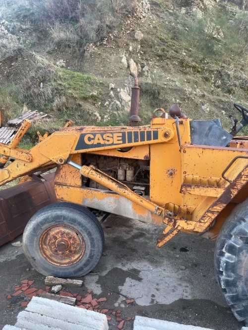 Case Case 1982