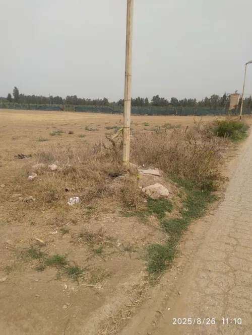 Vente Terrain Blida Beni mered