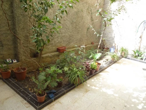 Vente Villa Blida Ouled yaich