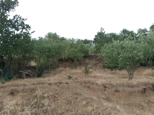 Vente Terrain Béjaïa Beni mellikeche