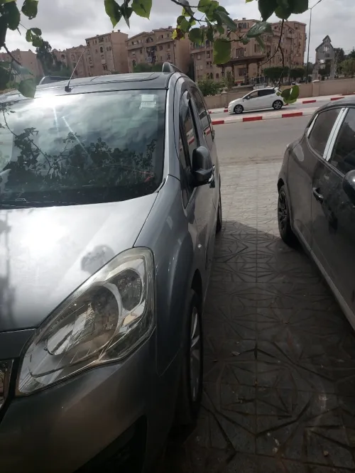 Peugeot Tepee 2017 Neveu